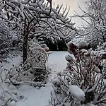 Bed and breakfast Les D'hotes Le Val D'honfleur