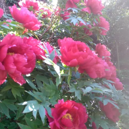 Bed & Breakfast Les D'hotes Le Val D'honfleur 3*